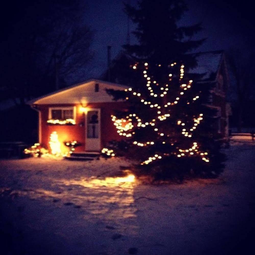 Emily'S Place B&B Creemore Esterno foto