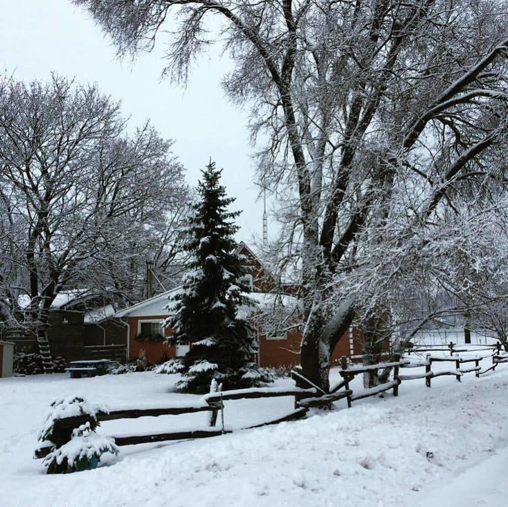 Emily'S Place B&B Creemore Esterno foto